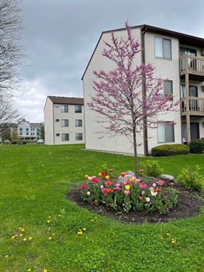 Grayslake apartment for rent - A tree with pink blossoms stands in a flower bed in front of a building.