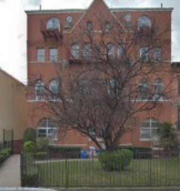 Brooklyn apartment for rent - a tree in front of a brick building