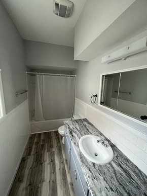 Fremont apartment for rent - a bathroom with a sink and a toilet and a shower