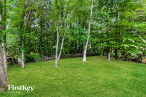 Woodstock house for rent - A lush green backyard with trees and grass.