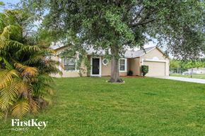 Poinciana house for rent - A tree in a yard with a house in the background.