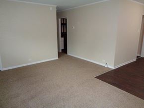Park Forest house for rent - 307 Windsor St Park Forest, IL 60466