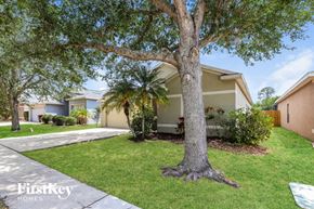 Seffner house for rent - a house with a tree in the yard and a sidewalk
