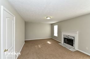 College Park house for rent - a living room with a fireplace and a carpeted floor