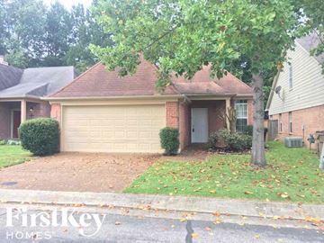Cordova house for rent - 865 Abbey Grove Ln Cordova, TN 38018