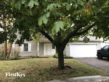 Aurora house for rent - a tree in a yard in front of a house
