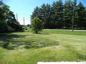 Indianapolis house for rent - a grass field with a tree in the middle of it