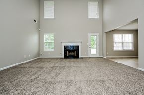 Hampton house for rent - the spacious living room with a fireplace and carpeted flooring