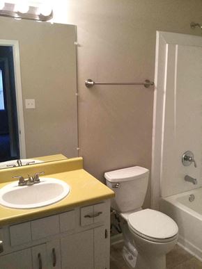 Jonesboro house for rent - A bathroom with a toilet, sink, and mirror.