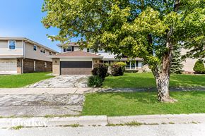 South Holland house for rent - A tree with green leaves stands in front of a house.