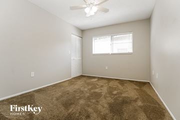 Palm Harbor house for rent - a spacious living room with carpet and a ceiling fan