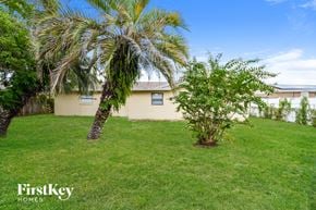 Orlando house for rent - A palm tree stands in a grassy yard in front of a house.