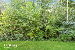Greensboro house for rent - A lush green forest with trees and grass.