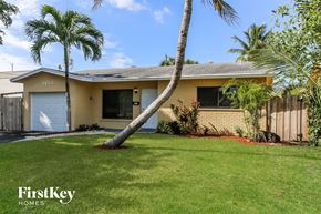 Pompano Beach house for rent - a palm tree leaning into the lawn in front of a house