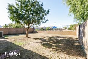 San Tan Valley house for rent - a backyard with a tree and a fence and a playground