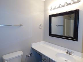 Powder Springs house for rent - a bathroom with a sink and a mirror and a toilet