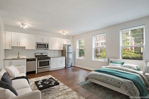 Chicago apartment for rent - a bedroom with a couch and a bed and a kitchen