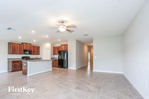 Apollo Beach house for rent - 5001 White Chicory Drive Apollo Beach, FL 33572