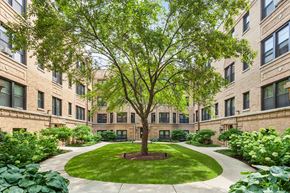 Chicago apartment for rent - a tree in the middle of a courtyard in front of a building
