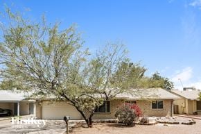 Tempe house for rent - a house with a tree in front of it
