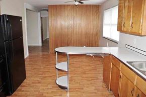 Indianapolis house for rent - a kitchen with a white counter and a black refrigerator