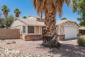 Peoria house for rent - a palm tree in front of a house