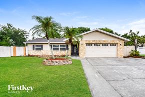 Winter Park house for rent - a palm tree in the front yard of a house