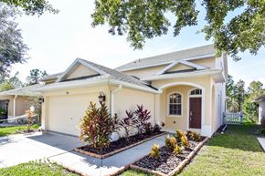 Land O'lakes house for rent - 7847 Foxgrove Dr Land O''Lakes, FL 34637