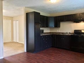 Indianapolis house for rent - a kitchen with black cabinets and a wood floor
