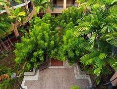 Honolulu apartment for rent - A courtyard surrounded by green plants.