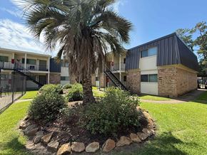 Beaumont apartment for rent - A palm tree stands in a garden bed in front of a building.