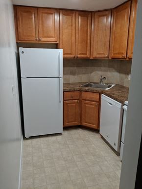 Revere apartment for rent - a kitchen with a white refrigerator and a sink