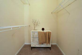 Large walk-in closet(s)