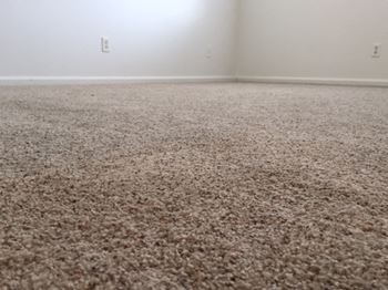Carpeting