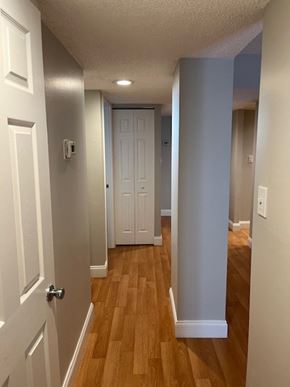 Tampa house for rent - OLP 708, 201 West Laurel Street, Unit 708