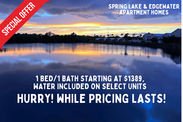 St. Petersburg apartment for rent - Spring Lake & Edgewater Apartment Homes are offering a special deal on 1 bed/1 bath units starting at $1389, with water included on select units.
