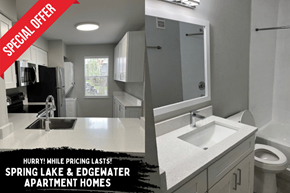 St. Petersburg apartment for rent - A special offer for Spring Lake & Edgewater Apartment Homes.