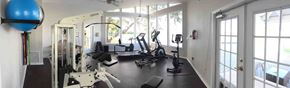 St. Petersburg apartment for rent - A gym with a variety of equipment including treadmills, weights, and exercise machines.