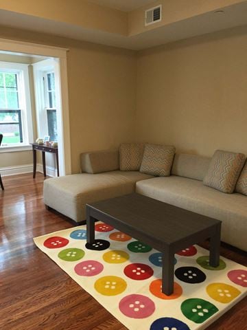 St. Louis apartment for rent - A living room with a couch, a coffee table and a colorful rug.