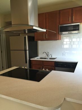 St. Louis apartment for rent - 721 Eastgate Kitchen