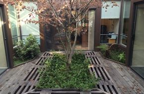 Castro Valley apartment for rent - a courtyard with a tree and a wooden deck
