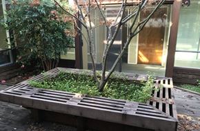 Castro Valley apartment for rent - a bench around a tree in a courtyard