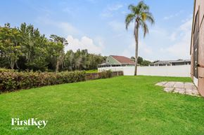 Wesley Chapel house for rent - a backyard with green grass and a palm tree
