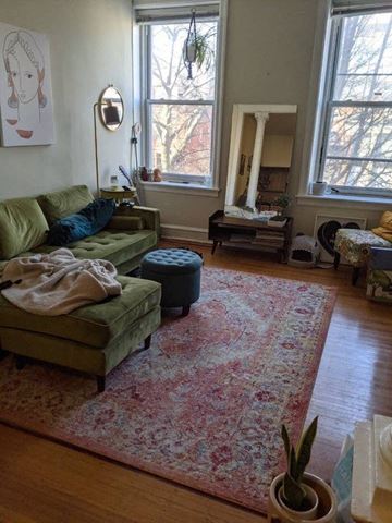 Philadelphia apartment for rent - a living room with a rug and a green couch