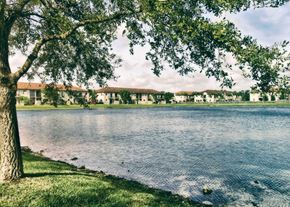 Homestead apartment for rent - A tree is in the foreground of a serene lake.
