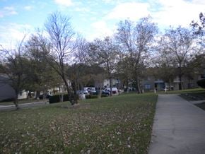 Greensboro apartment for rent - a sidewalk in front of a neighborhood with trees