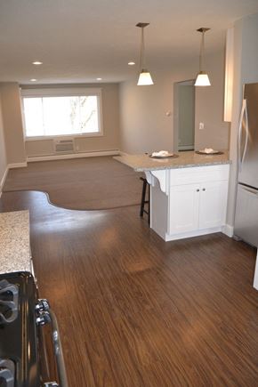 St. Louis Park apartment for rent - an empty kitchen and living room with wood flooring