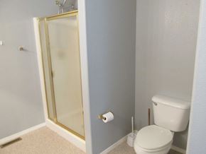 Soldotna house for rent - A white toilet sits next to a glass shower door in a bathroom.