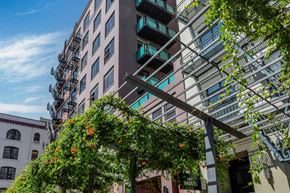 San Francisco apartment for rent - a city street with a tall building and some plants and trees