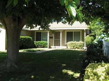 Sacramento house for rent - a house with a yard and a tree in front of it